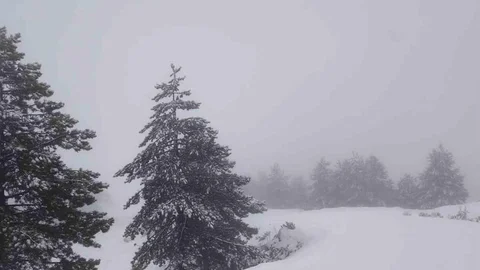 Muğla'da Bahar Kar Sürprizi