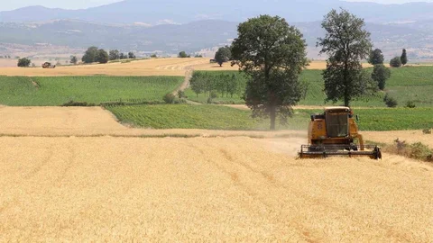 Samsun'da Tarıma Destek Büyüyor
