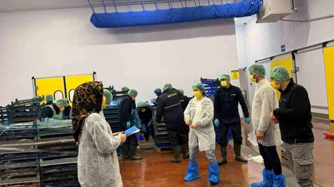 Bingöl'de Balık İşleme Tesisleri Denetlendi