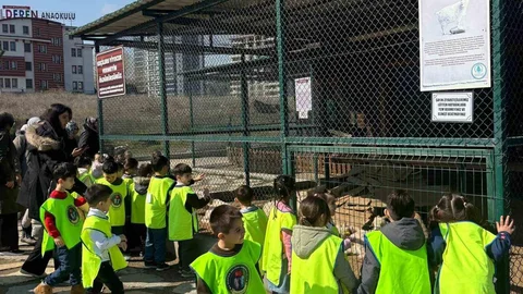 Minikler Doğada Eğleniyor