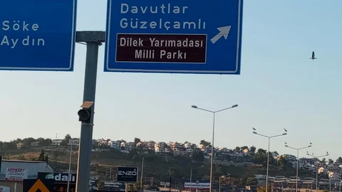 Kuşadası'nda Leylekler Yeniden Yuva Kurdu