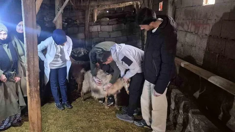 Özalp’te Çiftçilere Eğitim Projesi