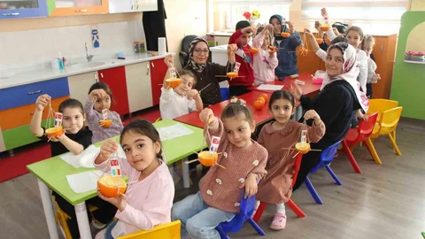 Amasya'da Kuşlar İçin Doğa Dostu Uygulama