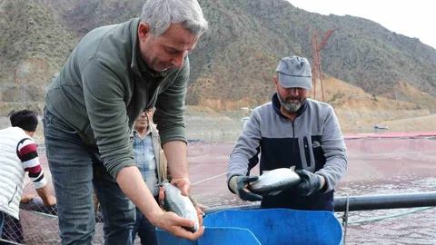 Erzurum'da Balık Üretimi Artıyor