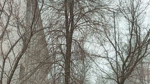 Bahar Öncesi Kış Geldi