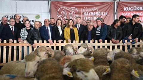 Tekirdağ'da Küçükbaş Hayvancılık Festivali Başladı