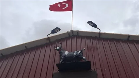 Kütahya'da Boğa Heykeli Korkuttu