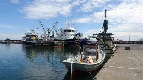 Samsun'da Balık Sezonu Bereketli Geçti
