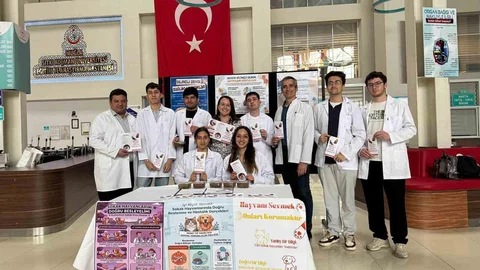 Muğla'da Sokak Hayvanları İçin Proje