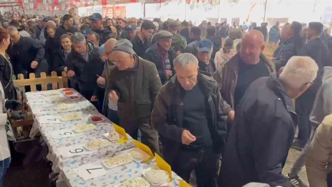 Tekirdağ'da En İyi Keçi Peyniri Seçildi