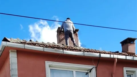 Muratlı'da Kedilere Kurtarma Operasyonu