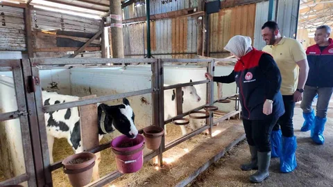 Düzce'de Ari İşletme Sayısı Artıyor