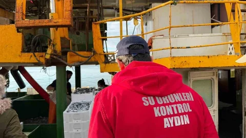 Hamsi Kotası Denetimi Didim'de Gerçekleşti