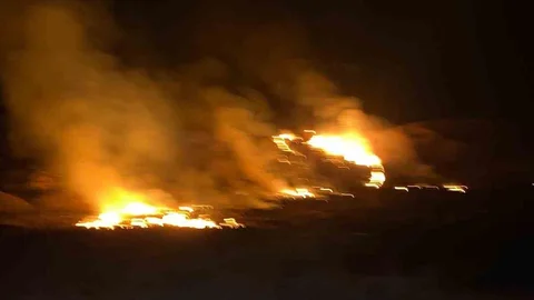 Van'da Sazlık Alanında Yangın Çıktı