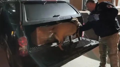 Samsun'da Uyuşturucu Operasyonu