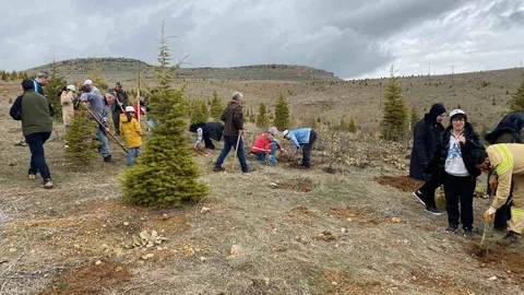 Elazığ’da Fidan Dikim Etkinliği Gerçekleşti