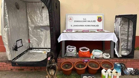 Zonguldak'ta Uyuşturucu Operasyonu: 2 Tutuklama