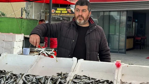 Zonguldak'ta İstavrit Bolluğu Yaşanıyor