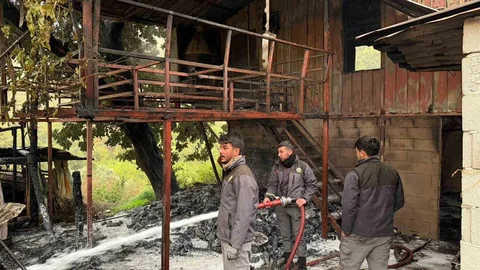 Alanya'da Müstakil Evde Yangın Çıktı