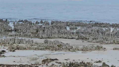 Van Gölü'nde Kuraklık Sorunu