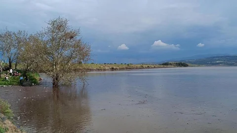 Sarıgöl Ovası’nda Su Sevindirdi