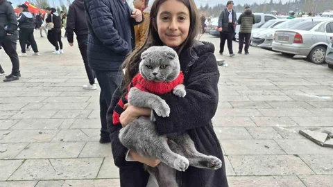 Küçük Çocuk Kedisiyle Maça Gitti