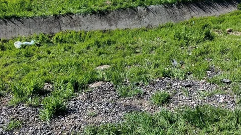 Diyarbakır'da Taksi Kazası: 4 Yaralı