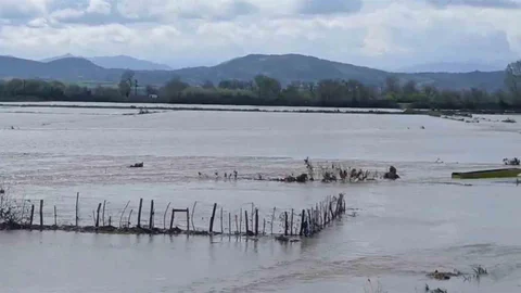 Meriç Nehri Taştı, Edirne'de Sular Yollara Ulaştı