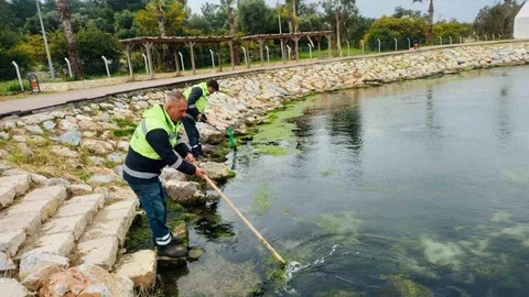 Didim'de Temizlik Çalışmaları Devam Ediyor