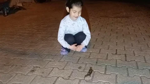 Adana’da Sarı Benekli Semender Görüldü