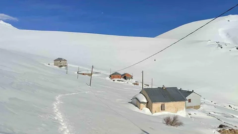 Bayburt’ta Ayı Saldırıları Devam Ediyor