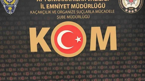 Tarihi Eser Operasyonunda Gözaltı