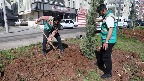 Haliliye'de Parklarda Yenileme Çalışmaları