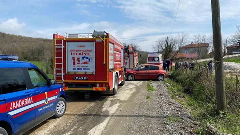 Samsun'da Ağaç Kesimi Faciası