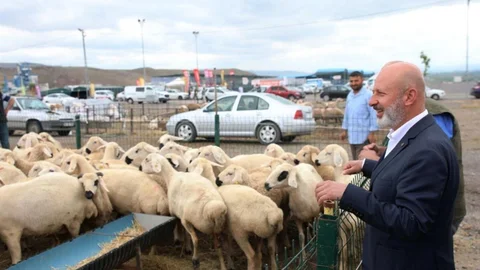 Kocasinan'da Kurban Hizmeti Hazırlıkları Başladı