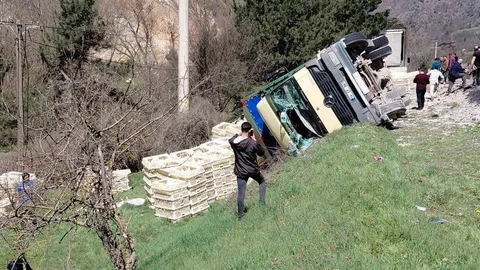 Bolu'da devrilen kamyonda tavuklar telef oldu