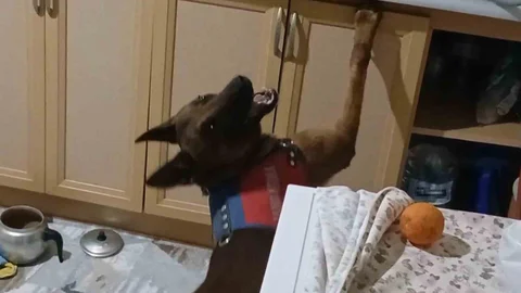 Aksaray'da Uyuşturucu Operasyonu Gerçekleşti