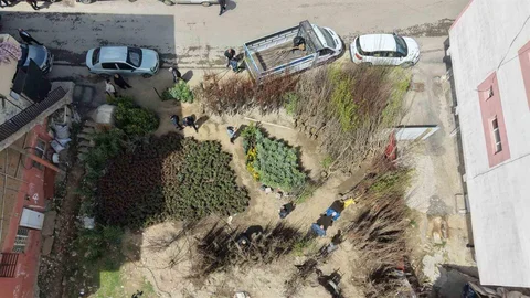 Muş'ta Meyve Fidanı Satışı Başladı