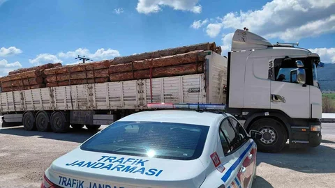 Bolu'da Tomruk Yüklü Kamyona Cezai İşlem