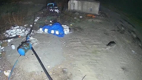 Konya'da Domuz Sürüsü Yerleşim Alanında Görüntülendi