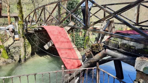 Sakarya'da Asma Köprü Çöktü