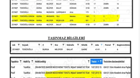 Eski Nilüfer Belediye Başkanı Hakkında İddia