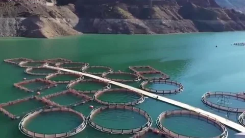 Erzurum'da İstihdam Artışı Sağlandı