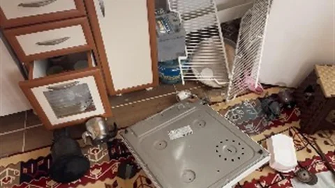 Ayılar Trabzon Mahallelerine Girmeye Başladı