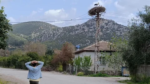Leylekler Adana'ya Döndü