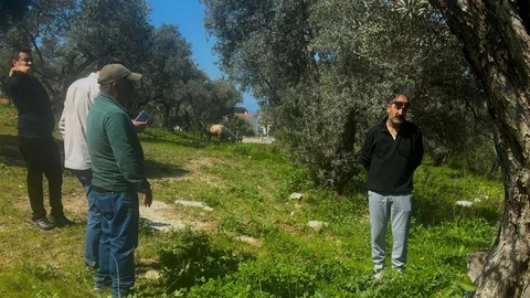 Endemik Tülüşah İçin İnceleme Başlatıldı