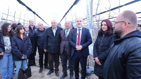 Meyve Ağaçlarında Budama Eğitimi Verildi