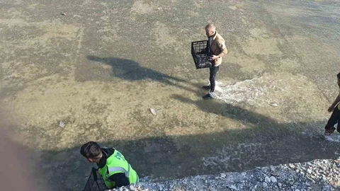 Afyonkarahisar'da Balık Yakalama Yarışı