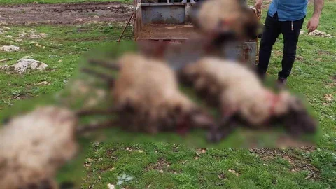 Mardin'de Yıldırım Düşmesi Olayı