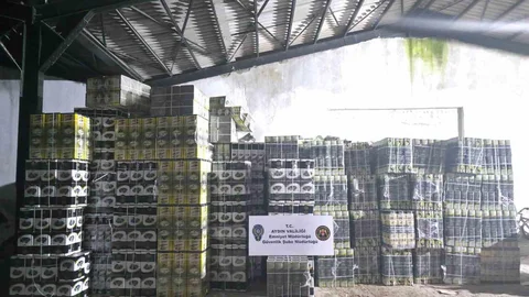 Aydın'da Tağşiş Yağ Operasyonu